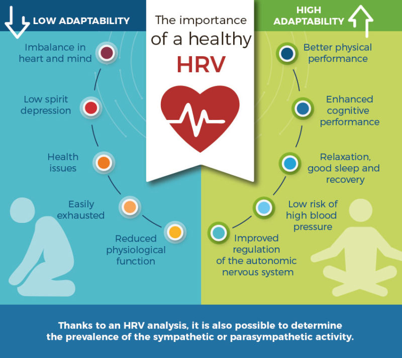 KIT HRV (Heart Rate Variability)