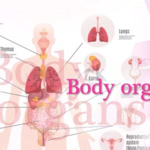 Body Scanner Software for IS