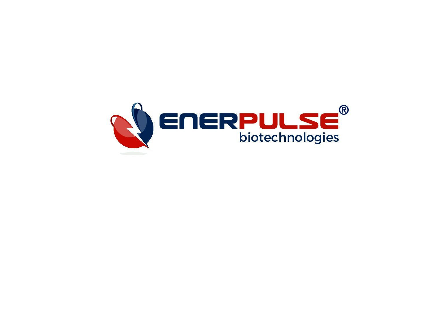 Enerpulse - modello portatile